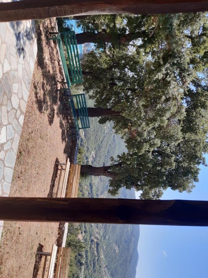Kouros Villa! Paltsi Pilion Exterior foto