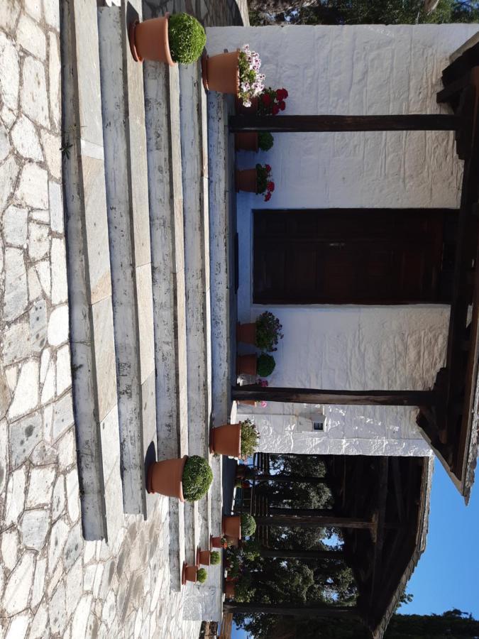 Kouros Villa! Paltsi Pilion Exterior foto