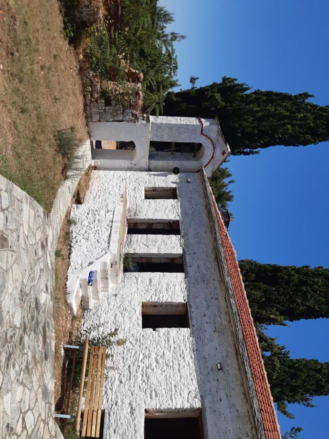Kouros Villa! Paltsi Pilion Exterior foto